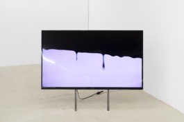 Lotte Meret Effinger, Surface Glaze